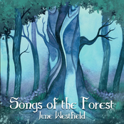 Songs of the Forest