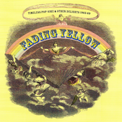 Fading Yellow - Timeless Pop-Sike & Other Delights, 1965-69