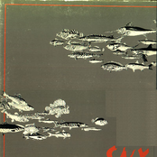 snx