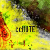 Random meet Fibonacci