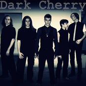 dark cherry