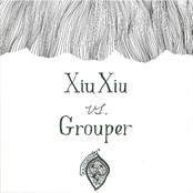 xiu xiu vs. grouper