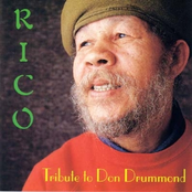 Stranger On The Shore by Rico Rodriguez