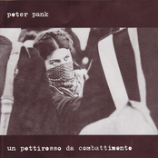 Un Pettirosso Da Combattimento