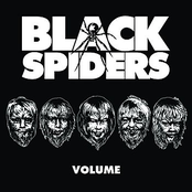 Jitterbug by Black Spiders