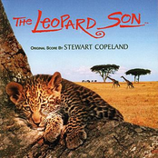 Leopard Twins by Stewart Copeland