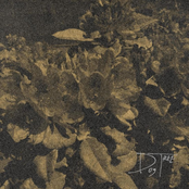 Finding Relief At The Fire Hydrant