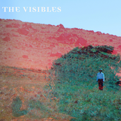 the visibles