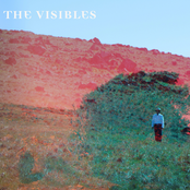 The Visibles