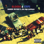Slob 187 by Bloods & Crips