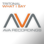 What I Say (dub Mix) by Tritonal