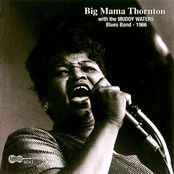 Since I Fell For You by Big Mama Thornton