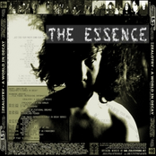 The Essence of a World in Decay