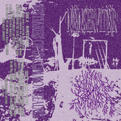 Bestiaries of Uncommon Realms