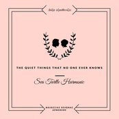 The Quiet Things No One Ever Knows