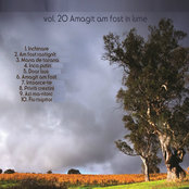 Ovidiu Liteanu, Vol. 20 (Am Fost Rastignit)