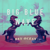 Hey Ocean!: Big Blue Wave