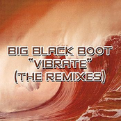 Vibrate 2004