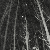 Under the Fullmoon Night