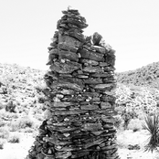 Until We Find The Hive