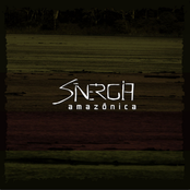 Sinergia Amazônica