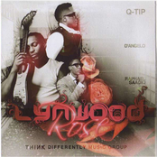 Lynwood Rose