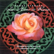 Lo, How A Rose E'er Blooming