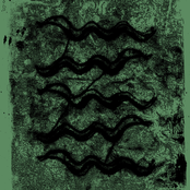 Never Staying In My Lane