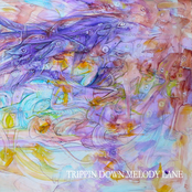 Trippin' Down Melody Lane