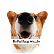 The Best Doggy Relaxation