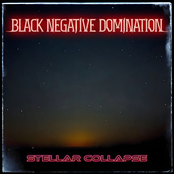 Stellar Collapse