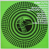 Raw Cuts Volume Three - German Underground