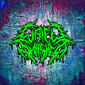 Brutality Tsundere Evisceration