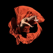 Agulha - Levito/Exalo