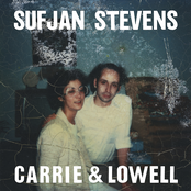 Sufjan Stevens: Carrie & Lowell