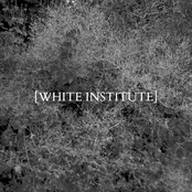 Pictures & Lonely Fields