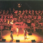 The Salsoul Orchestra