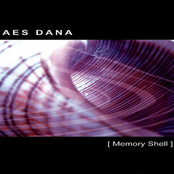 Memory Shell (lost Radio E-dit) by Aes Dana