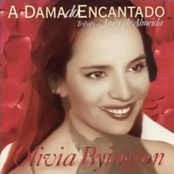 Amor De Parceria by Olivia Byington