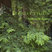 Forest Vision