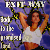 Back To The Promised Land