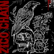 These Birds Will Kill Us All