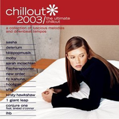 Chillout 2003: The Ultimate Chillout