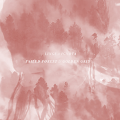 FAILED FOREST // GOLDEN GRID