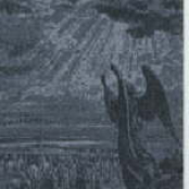 When Angel Falling From Eden