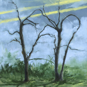 Where the Earth Bends