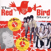 The Red Bird Story