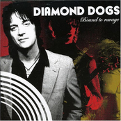 Passing Through My Heart by Diamond Dogs