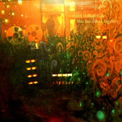 Dubi Dolczek & The Haunted Lagoon