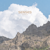 Senses